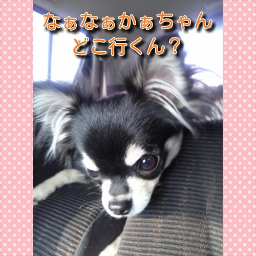 2013121523512347a.jpg