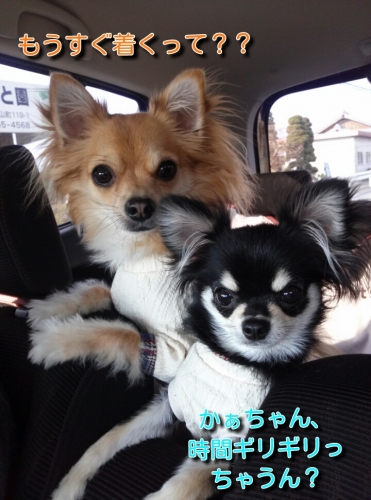 201312152351556c9.jpg