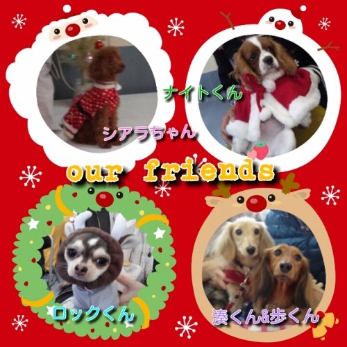 2013121523521923a.jpg