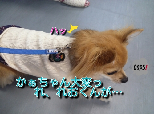 2013121523532339c.jpg