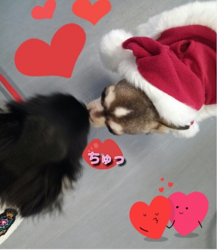 2013121523535987c.jpg