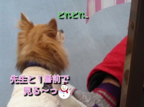20131215235655f54.jpg