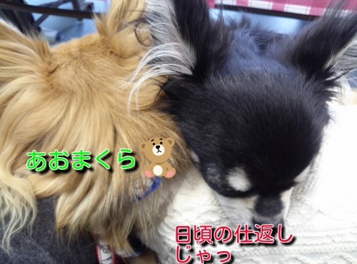 20131215235924986.jpg