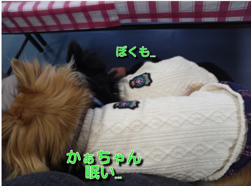 20131215235948368.jpg