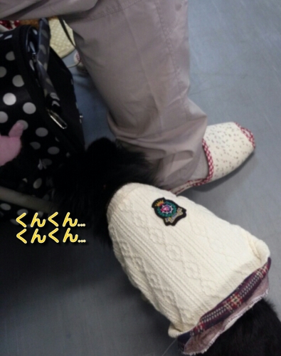 2013121600000656c.jpg