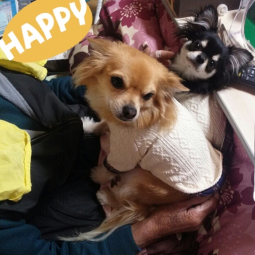 20131216104604fc9.jpg