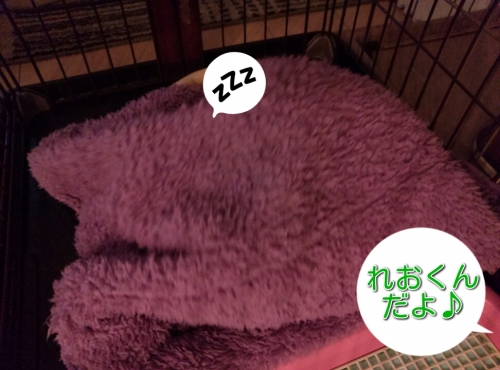 20131218084040e07.jpg
