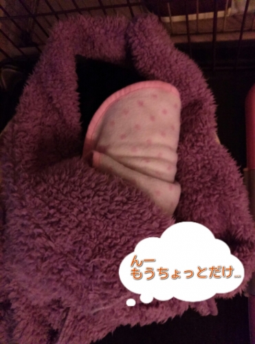 20131218084101cbd.jpg