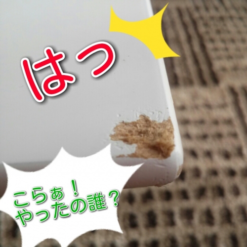 20131222210302b33.jpg