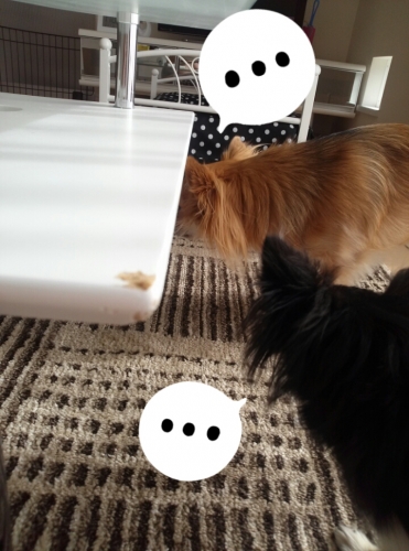 20131222210324d36.jpg