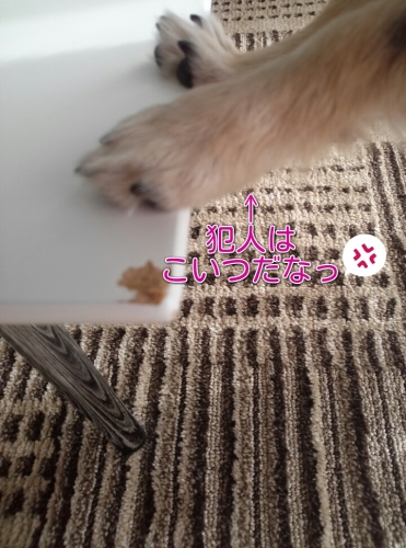 20131222210359f21.jpg