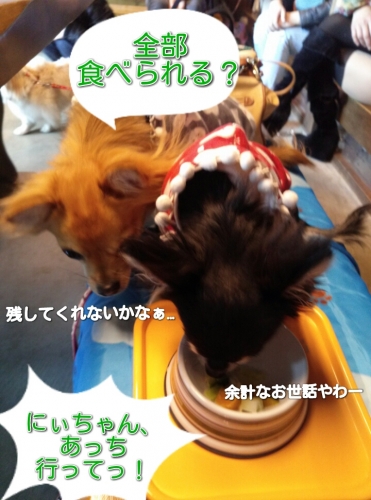 20131223222224d4b.jpg