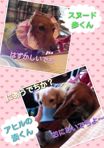 20131223222432e16.jpg
