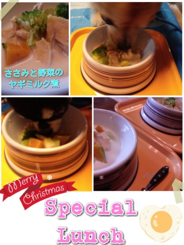 20131223222450041.jpg
