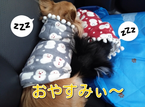 2013122322252789b.jpg