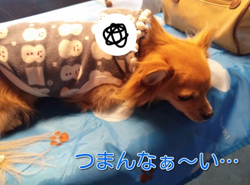 20131223222548d10.jpg
