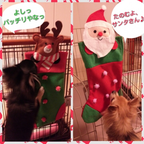 2013122421365774d.jpg