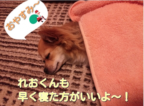 20131224213717f50.jpg