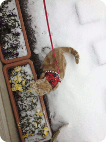 140217c.gif