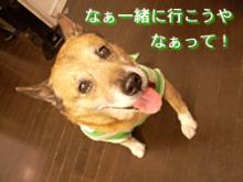 issyo