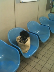$ボムのひとりごと 改め ラボのひとごと