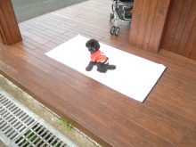 $ボムのひとりごと 改め ラボのひとごと