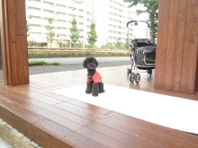 $ボムのひとりごと 改め ラボのひとごと