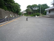 $ボムのひとりごと 改め ラボのひとごと
