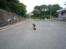 $ボムのひとりごと 改め ラボのひとごと