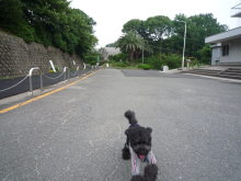 $ボムのひとりごと 改め ラボのひとごと