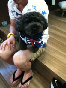 $ボムのひとりごと 改め ラボのひとごと
