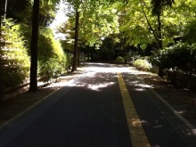 $ボムのひとりごと 改め ラボのひとごと