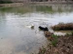 水辺のノンノとワグマ