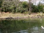ノンノとワグマの水泳