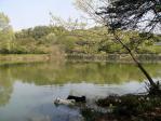 さあ入水