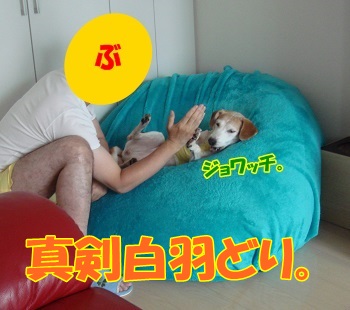 12_08_04_01_.jpg