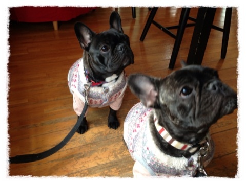 image_20130305224928.jpg