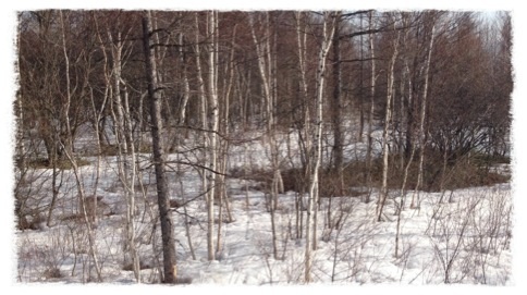 image_20130327210453.jpg