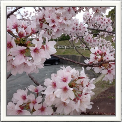 image_20130408205452.jpg