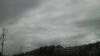 P1001557.jpg