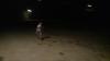 P1001571-1.jpg