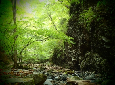 ryuukanotaki4.jpg