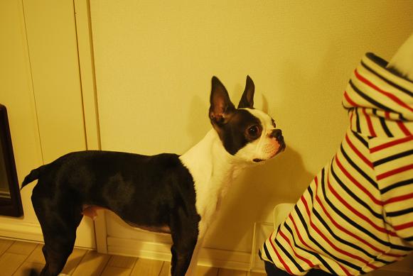 20120320DSC_4102.jpg