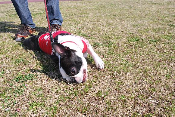 20120322DSC_4198.jpg