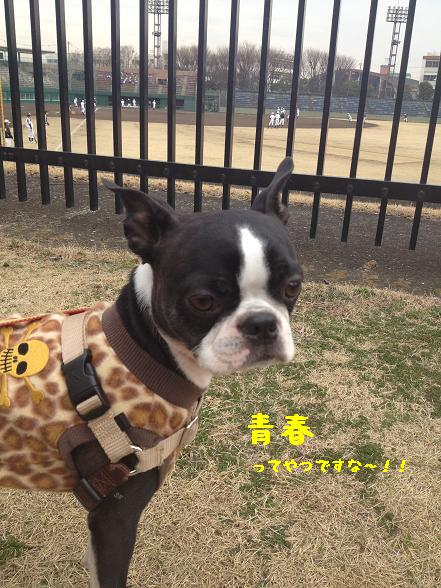 20120327写真 12-03-22 14 26 06