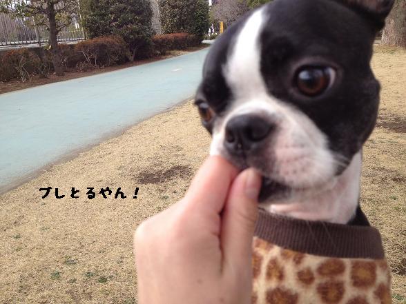 20120327写真 12-03-22 14 40 40