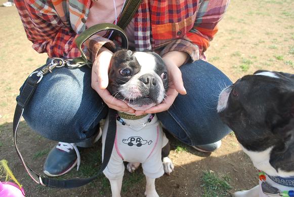 20120403DSC_4364.jpg