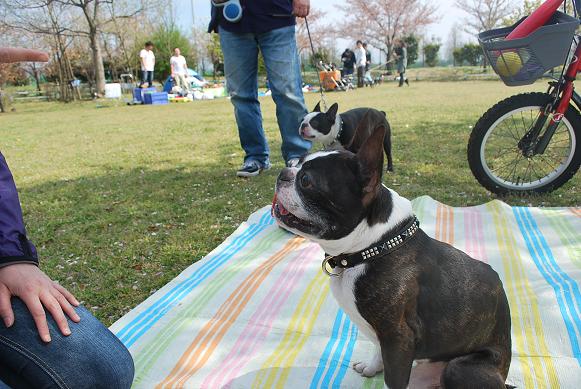 20120420DSC_4925.jpg