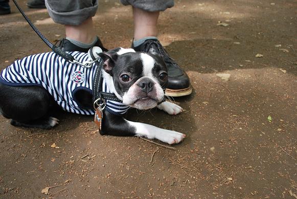 20120502DSC_0010.jpg