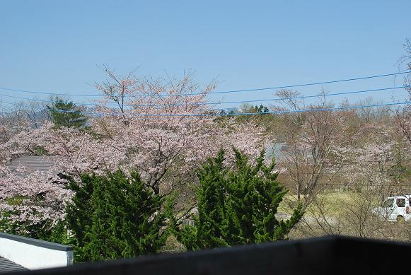 20120504DSC_5252.jpg